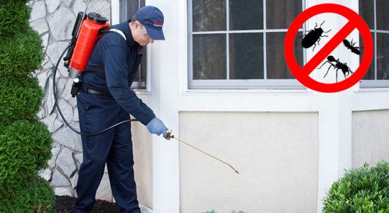 Derince Bit İlaçlama böcek ilaçlama ve haşere kontrolü — ilaclama-tr.com